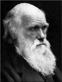 Charles Darwin On the Origin of Species by Means of the Natural Selection... (1859).