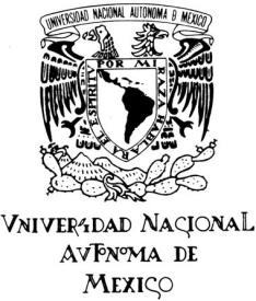 UNIVERSIDAD NACIONAL AUTÓNOMA DE MÉXICO Centro Peninsular en Humanidades y Ciencias Sociales Coordinación de Humanidades Facultad de Filosofía y Letras LICENCIATURA EN DESARROLLO Y GESTIÓN