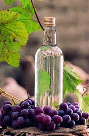 Pisco Destilado de uva que se