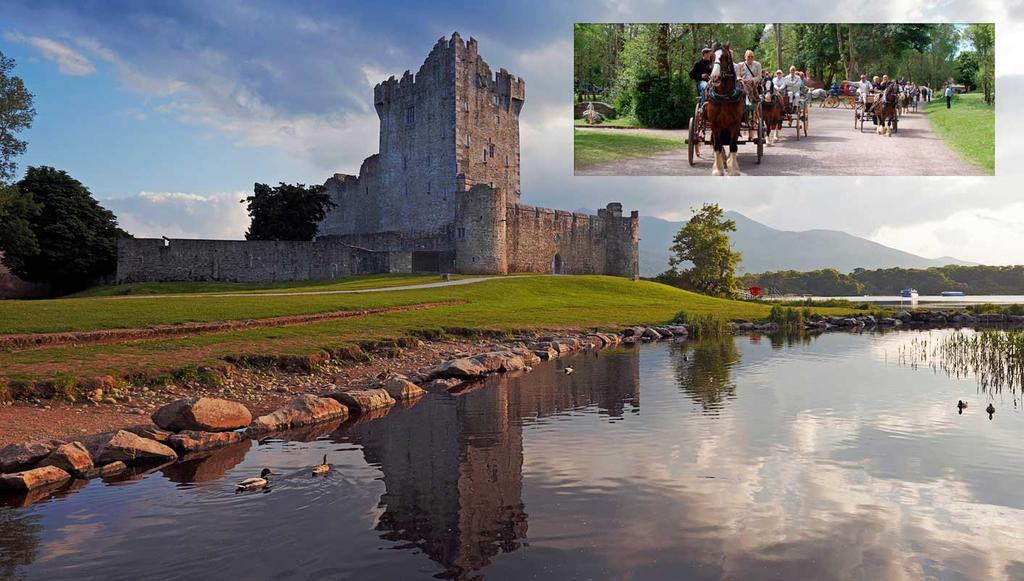 Killarney: Ride to Ross castle in a horse-drawn carriage included.