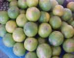 (días) 1-2 Presentación en el Mercado Quintal Libra NARANJA ( Citrus spp.