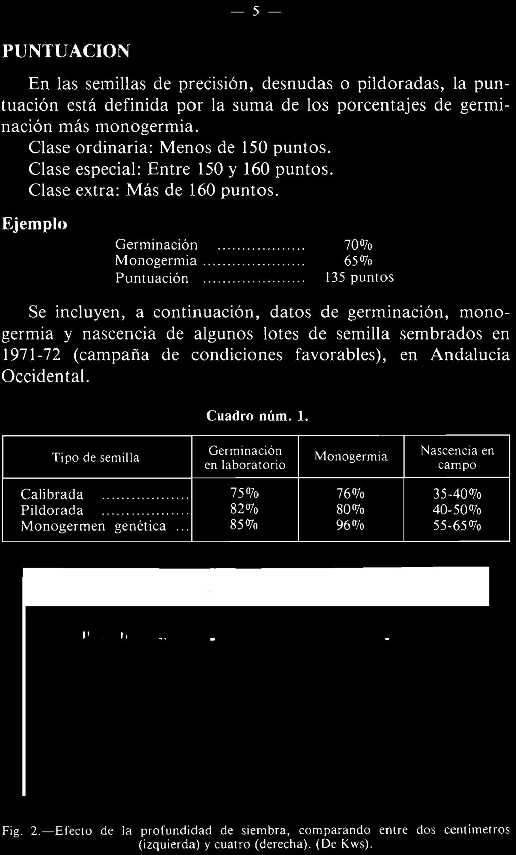 .. 135 puntos Se incluyen, a continuación, datos de germinación, monogermia y nascencia de algunos lotes de semilla sembrados en 1971-72 (campaña de condiciones favorables), en Andalucía Occidental.