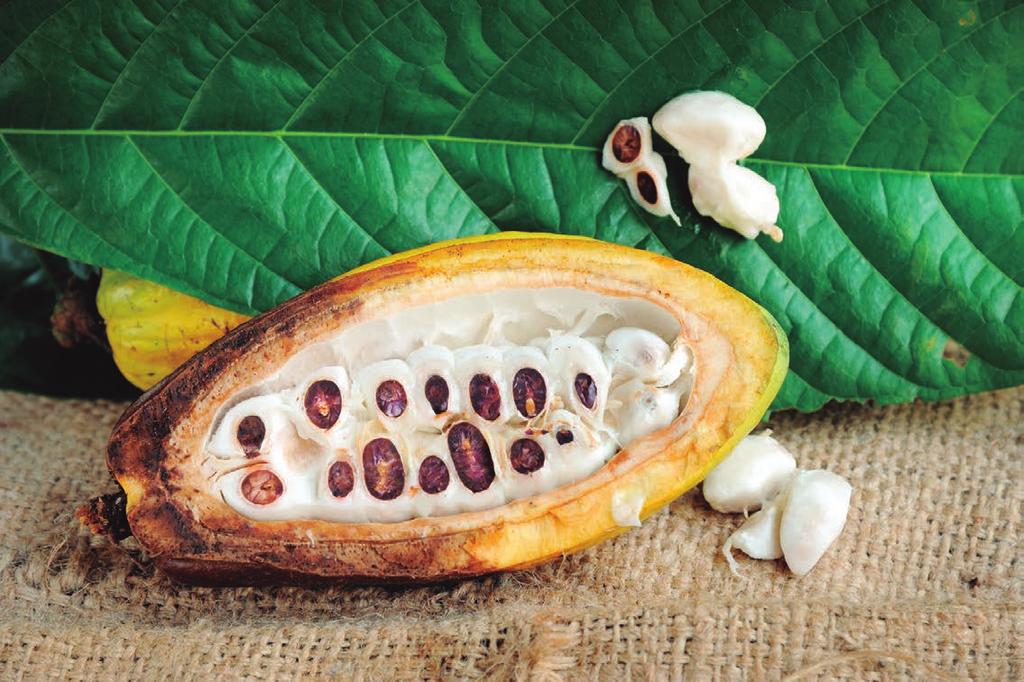 Caso REO 7 Una empresa colombiana produce y exporta licor de cacao a EE.UU. Para ello emplea únicamente el siguiente insumo: - Grano de cacao importado de Venezuela.
