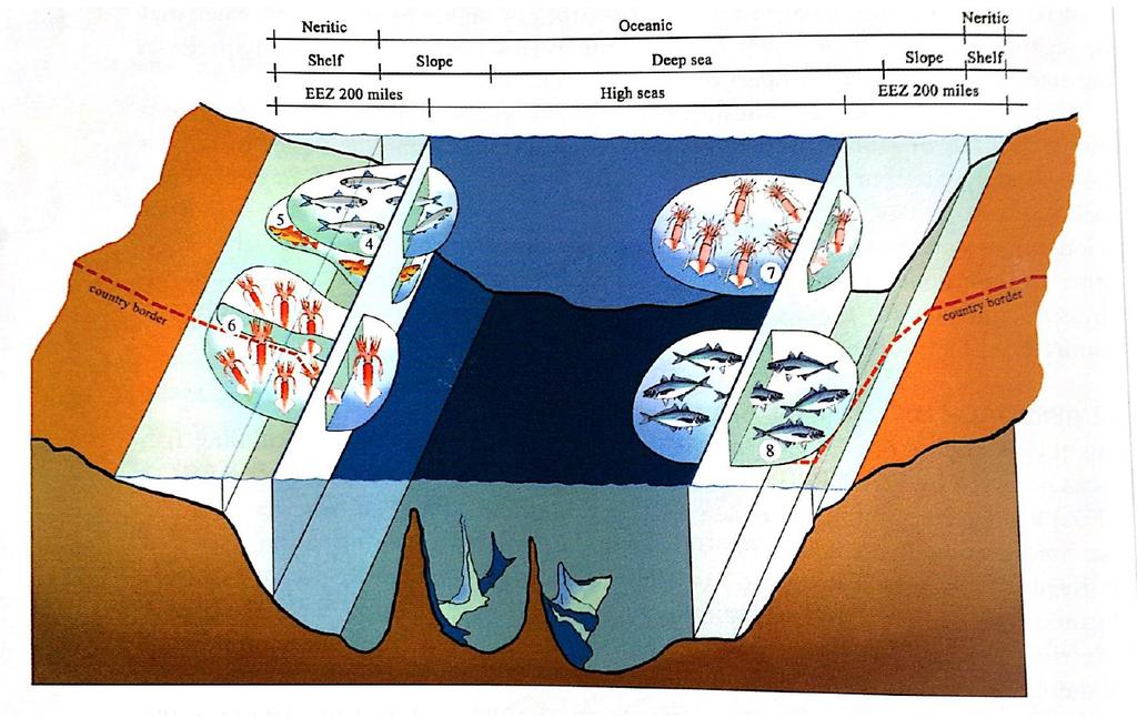Recursos pelágicos y demersales transzonales que se encuentran mayormente dentro de la ZEE (4 & 5); transzonales compartidos (6); transzonales que se encuentran mayormente en alta mar (7); y