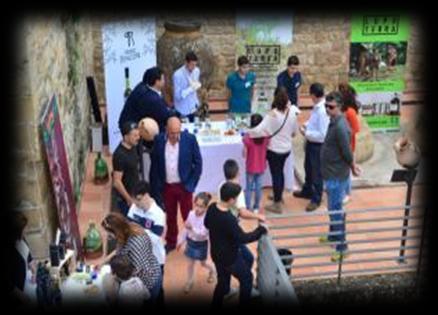 Febrero 2017: Asistencia a Workshop de Turismo de Andalucía y asistencia a la Feria Navartur con varios contactos