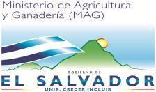 REPUBLICA DE EL SALVADOR EN LA AMERICA CENTRAL República de El Salvador Ministerio de Agricultura y Ganadería (MAG) Dirección General de Economía Agropecuaria (DGEA) Centro Nacional de Tecnologia