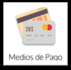 MEDIOS DE PAGO Por medio de este módulo se realiza la inscripción de las tarjetas de crédito.