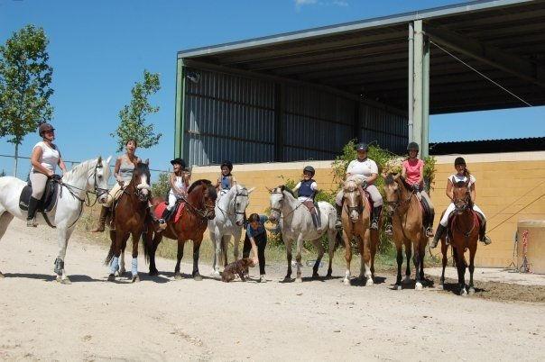 Cursillos de Verano Los Cursillos de Verano van dirigidas a escolares de 4 a 16 años, que deseen profundizar sus conocimientos sobre el mundo del caballo.