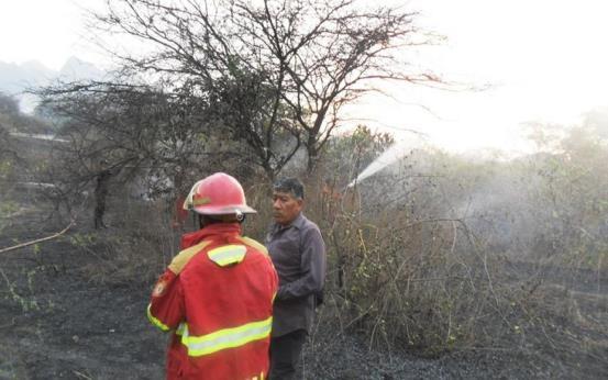 Lambayeque: Bomberos extinguen incendio forestal en distrito de Salas Personal del Cuerpo de Bomberos del distrito de Illimo, de la provincia y departamento de Lambayeque, extinguieron el incendio
