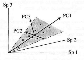 Podemos visualizar lo anterior en términos de mejor ajuste : PC1 es la LÍNEA de mejor ajuste PC2 y PC1 forman un PLANO de mejor ajuste PLANO de ordenación (Si podemos obviar el PC3!