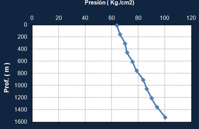 10 se puede observar un gradiente de presión homogéneo, correspondiente a aceite pesado, la Pwh de 63.66 Kg/cm 2 y una Pwf de 100 Kg/cm 2. B.