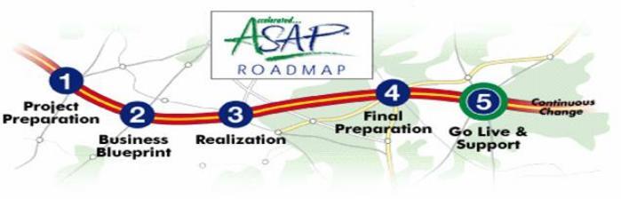 Plan de Proyecto (I) La metodología que se utilizará para la implantación del módulo es ASAP que es un acrónimo para la