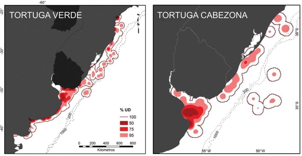 y áreas de aguas <30 m de profundidad 8 (González Carman et al., 2012b).