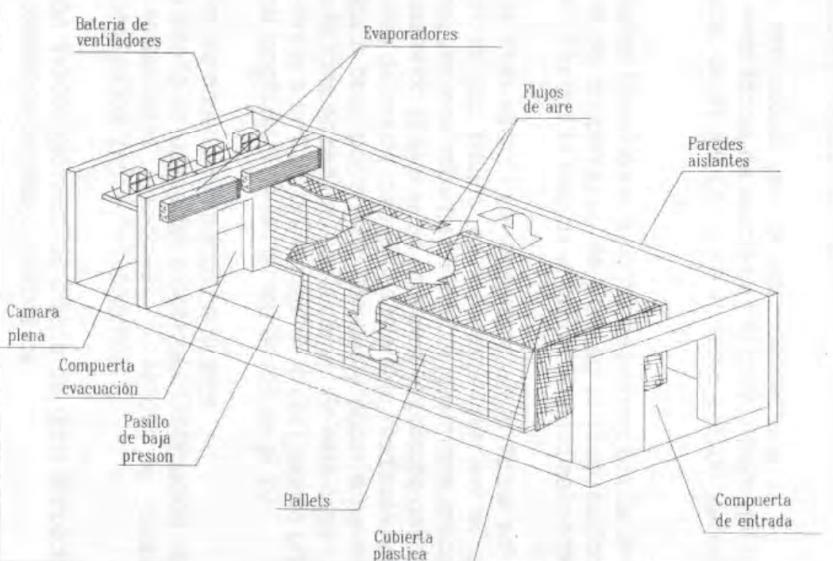 Cámaras de refrigeración y túneles de congelamiento: Diseño y distribución de