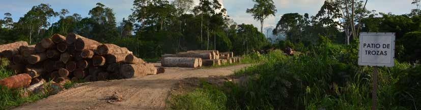 INTRODUCCIÓN El sector forestal peruano ha sufrido un duro revés en los últimos años.