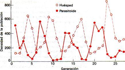 pieles obtenidas por la Hudson Bay Co. (MacKulick, 1937.) Dependencia retrasada con respecto a la densidad Existen los ciclos depredador-presa?