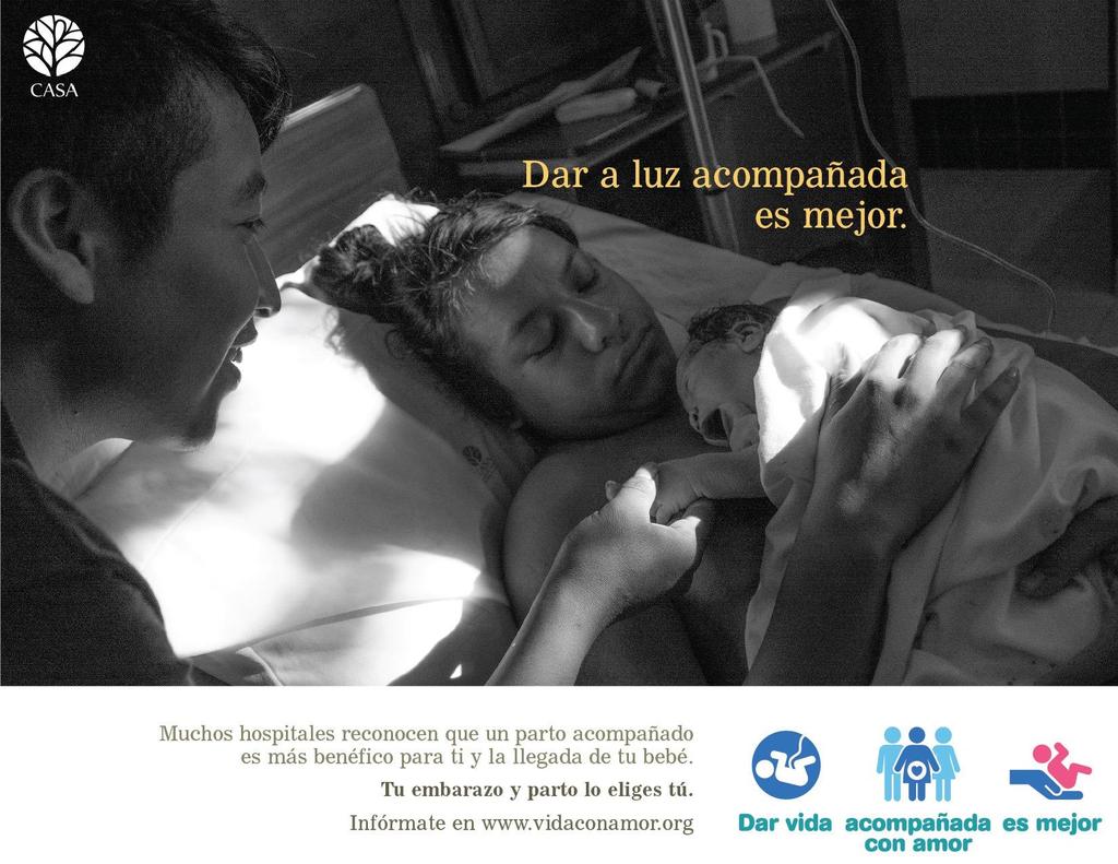 10 Plan Estratégico para la Salud Materna y Perinatal en Veracruz Acompañamiento al parto Acompañamiento tanatológico 1586/2017