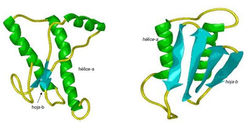 Proteína priónica Proteína