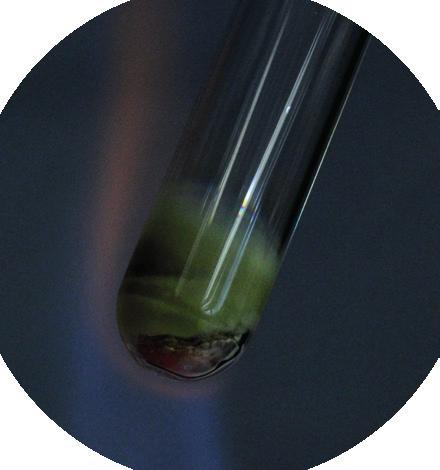 Calentar a la llama del mechero el tubo con la mezcla de Zn/CaO hasta que el zinc se ponga al rojo o el óxido de calcio tome una coloración amarilla, Fig. 22.