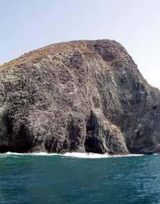(Hydrobates pelagicus melitensis). En la Isla de Las Palomas: Pardela cenicienta (Calonectris diomedea).