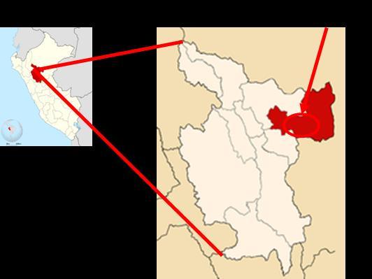 Caso confirmado de fiebre amarilla selvática (FAS) procedente del distrito de la Banda de Shilcayo, provincia y departamento de San Martín En la SE 06-2016, la DGE toma conocimiento de un nuevo caso