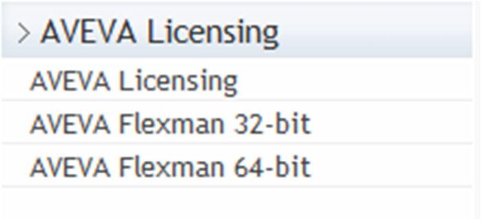 1.0 Instalación de Flexman. Instalar en el Servidor de Licencias (LicenseServer), la aplicación Flexmanversión 5.