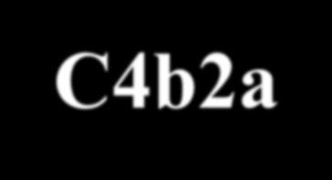 C3bBb-P C4b2a Convertasa C5 C4b2a3b