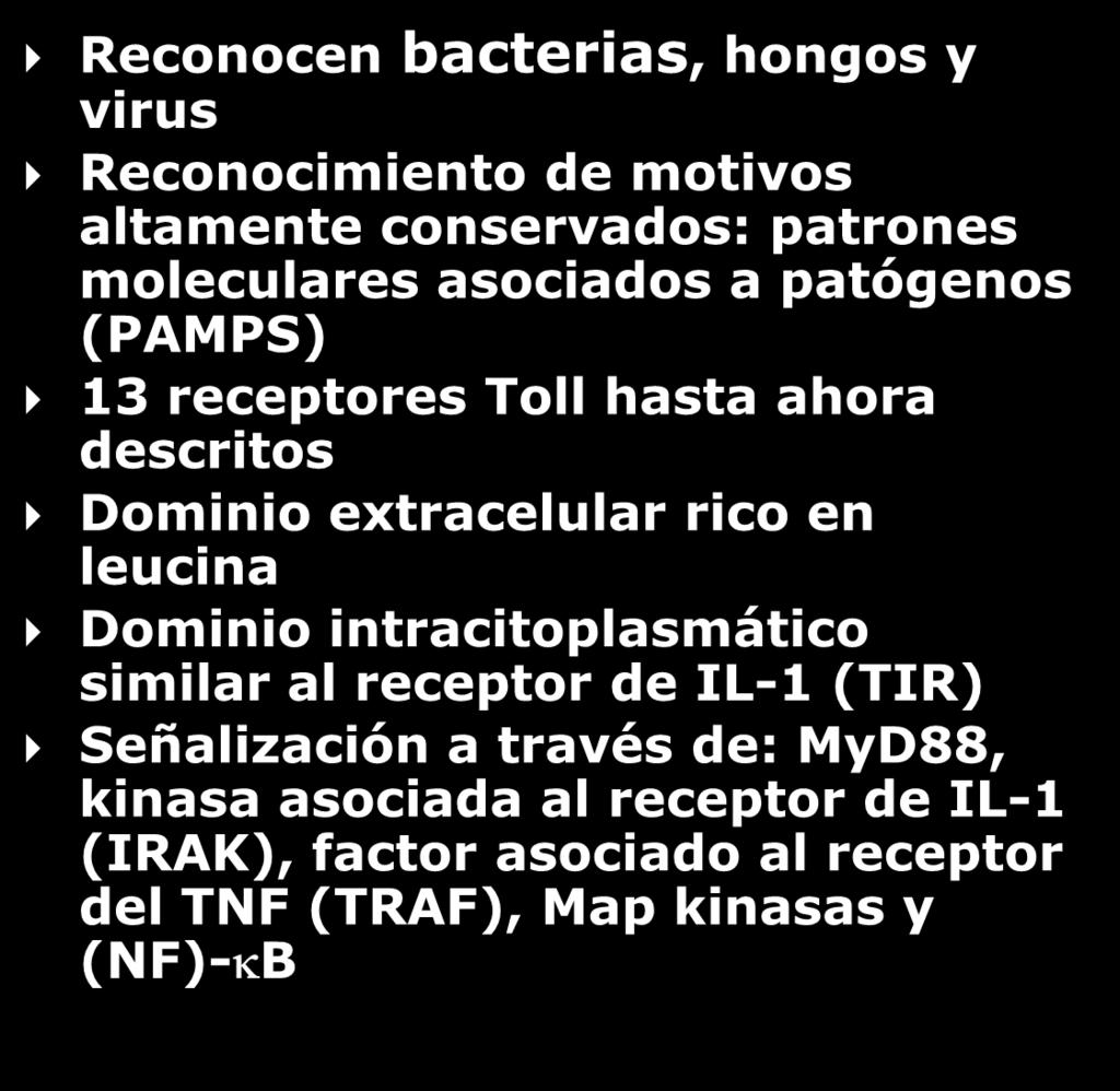 moleculares asociados a patógenos (PAMPS) 13 receptores Toll hasta