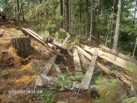 Imágenes 2 y 3 Fotografías de labores de aprovechamiento y transformación de la madera del aprovechamiento BN-10556-2007 en el sitio La Fortuna, por parte de la Cooperativa COALFORL Supervisión por