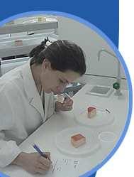 Evaluación sensorial de productos a nivel de laboratorio Test de valoración de calidad con escala por parámetro según