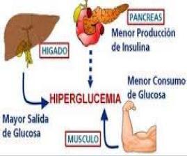 INTRODUCCIÓN GLUCOCORTICOIDES: Aumento de la resistencia a la insulina (dosis dependiente)