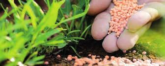 6.4 fertilizantes y semillas engrais et graines SACO