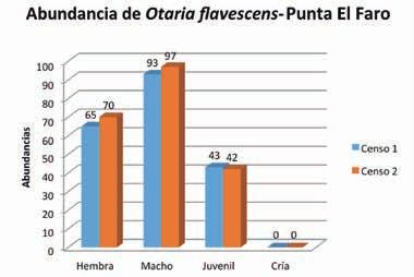Para Punta El Faro no se observó grandes diferencias entre ambos censos.