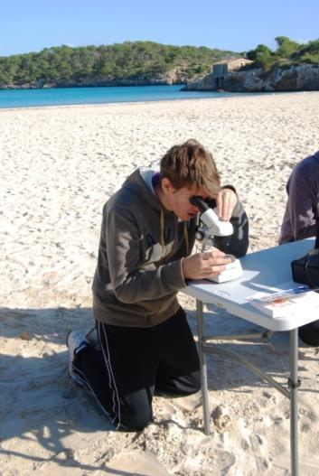 La importància de la gestió del sistema platjaduna de s Amarador (taller) En aquesta activitat els alumnes han d investigar sobre la gestió del sistema platja-duna de s Amarador que fa el Parc