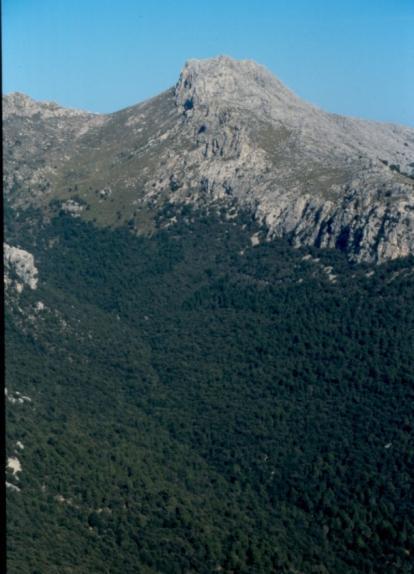 Història natural de la Serra de Tramuntana Itinerari guiat pel cor de la Serra de Tramuntana, explorant la geologia i la biodiversitat, la dinàmica dels seus ecosistemes, l impacte de les activitats