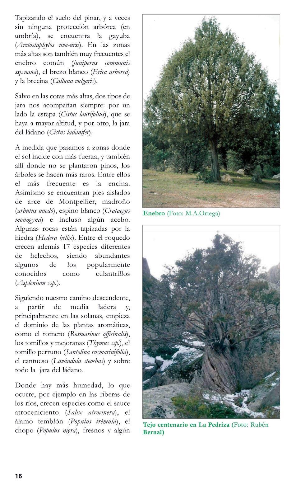 Fuente: https://www.reforesta.es/images/que_hacemos/03_educacion/cuaderno-profesor.