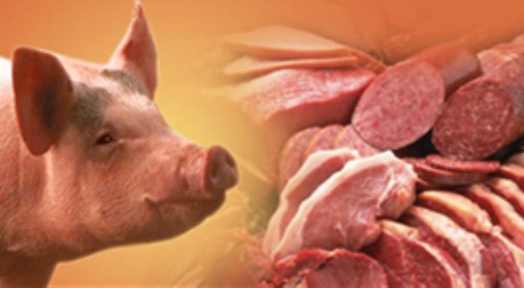 Desarrollo sustentable del sistema agroalimentarios porcino que genere alimentos sanos, seguros