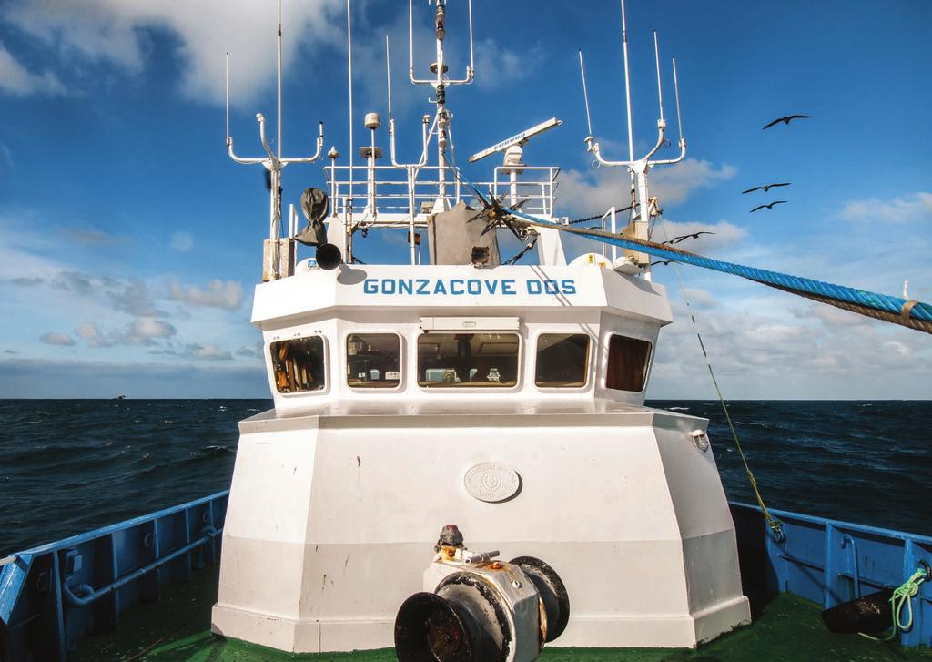 PESCA EFICIENTE Desarrollar e implementar soluciones para reducir el número de descartes potenciales a través de la optimización de la actividad pesquera.