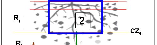 Modelo Ribav-Conceptualización Elementos: 1.Vegetación 2. Zona NO saturada (Tanque Estático) 3.