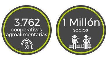 Pág 2 (1) Datos procedentes del Observatorio Socioeconómico del Cooperativismo Agroalimentario Español (OSCAE) 2017.