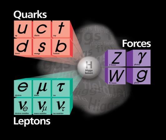 Dináica del sabor Experientalente: 6 quarks y 6 leptones, organizados en 3 ailias. Única dierencia es la asa.