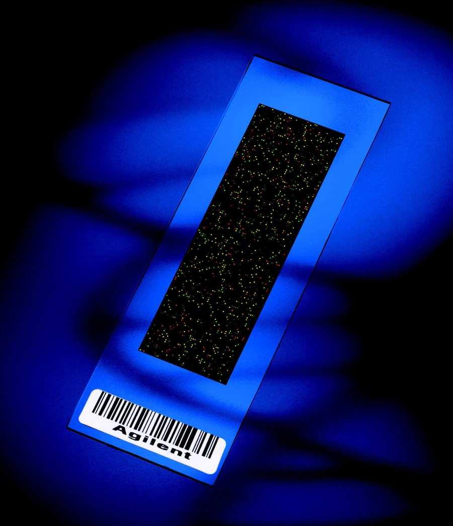 Microarrays de ADN. 2.4 Figura 2.10: Microarray de la marca Agilent -los colores son una representación de cómo se vería en el escáner, en realidad es transparente-. 116].