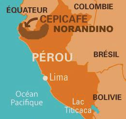 Grupos productores COOP NORANDINO-Peru Es una cooperativa agrícola de servicios múltiples, creada el 26 de Noviembre del 2005 en la ciudad de Lamas (San Martín - Perú ).