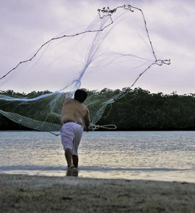 FOTO: ISAÍ DOMÍNGUEZ GUERRRO / CONABIO Los manglares tienen un alto valor