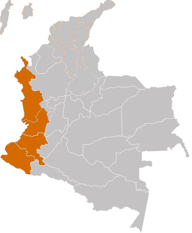 Millones $ constantes 2013 REGION PACIFICO $15,94 BILLONES 4 Región Pacífico: Chocó, Valle del Cauca, Cauca y Nariño 10.000.000 9.000.000 8.784.060 8.000.000 7.000.000 6.000.000 5.000.000 4.000.000 3.