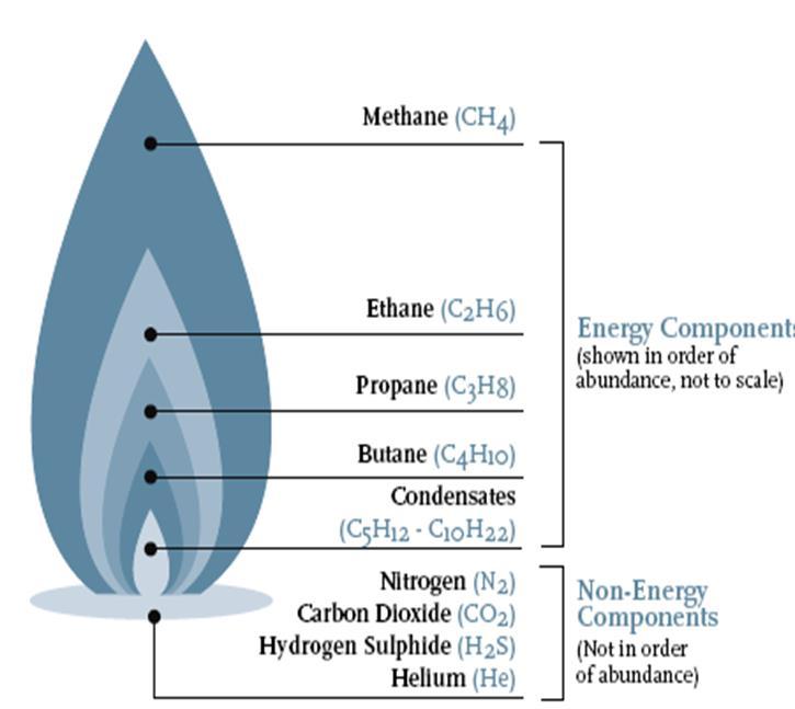 C1 (Metano) Amoniaco, Metanol, Urea, etc. C2 (Etano) Etano Etileno y Derivados, etc. C3 (Propano) Olefinas Ligeras (Etileno y Propileno) y Derivados, etc.