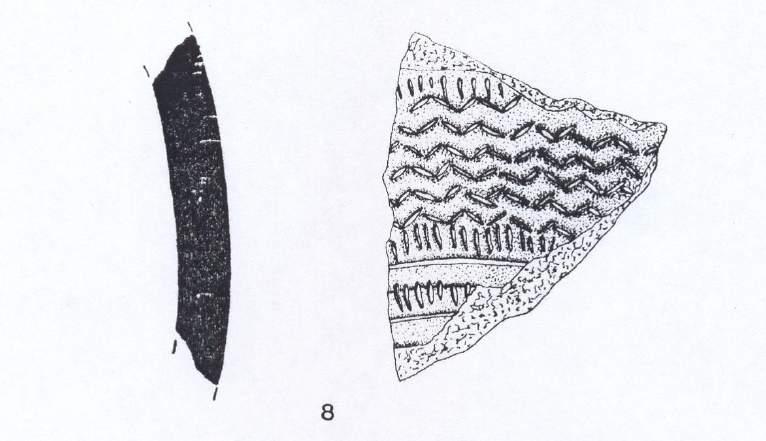 Nº 8.- Fragmento de cuello de vasija campaniforme, probablemente perteneciente a un vaso de grande