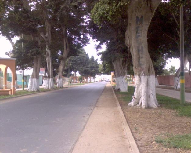INFRAESTRUCTURA La carretera Panamericana Norte, es la principal vía de la ciudad de San Pedro de Lloc, pero se puede afirmar que la calle 2