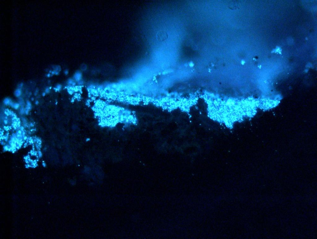 Figura 7. Imagen obtenida al microscopio óptico de la estratigrafía.