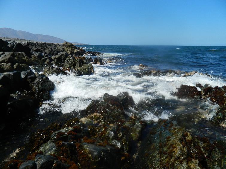 Clase introductoria: Sitio Prioritario Península de Mejillones Península de Mejillones Uno de los 14 Sitios Prioritarios para la conservación de la biodiversidad de la Región de Antofagasta Porción